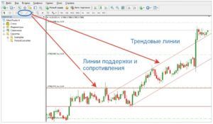 Технический анализ Форекс: линии поддержки и сопротивления